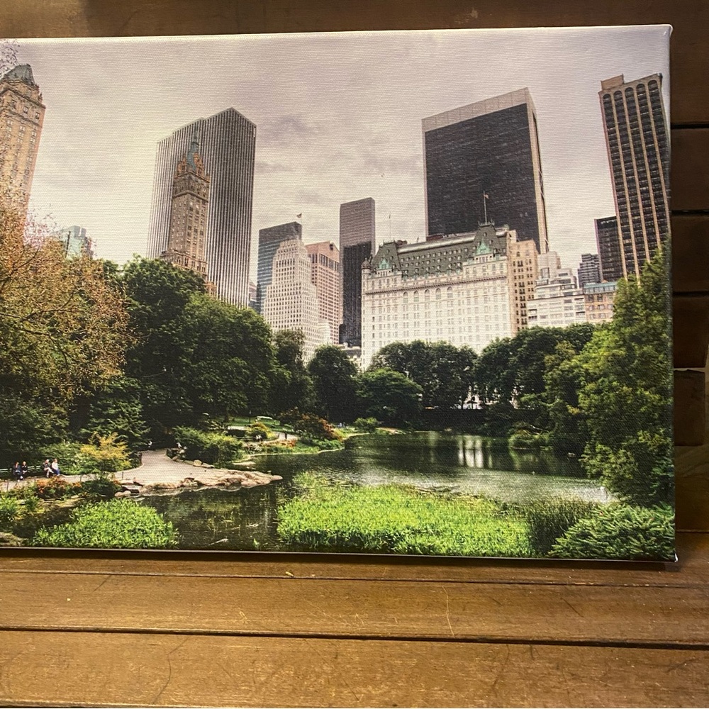 Studio Manhattan Art framed canvas of New York’s Central Park & Plaza Hotel
